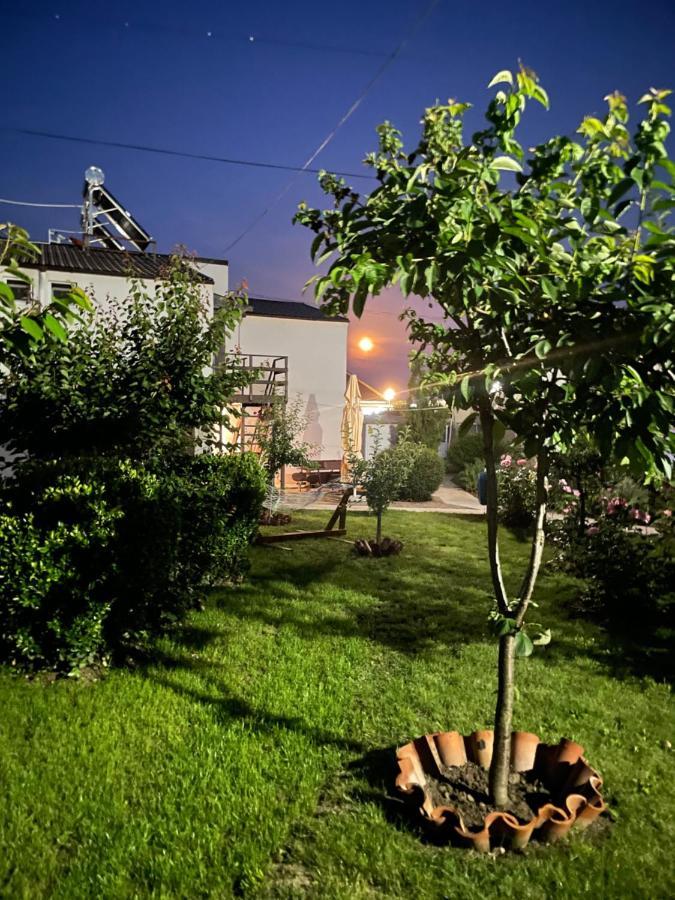 Hotel Complex Minerva à Costinesti Extérieur photo