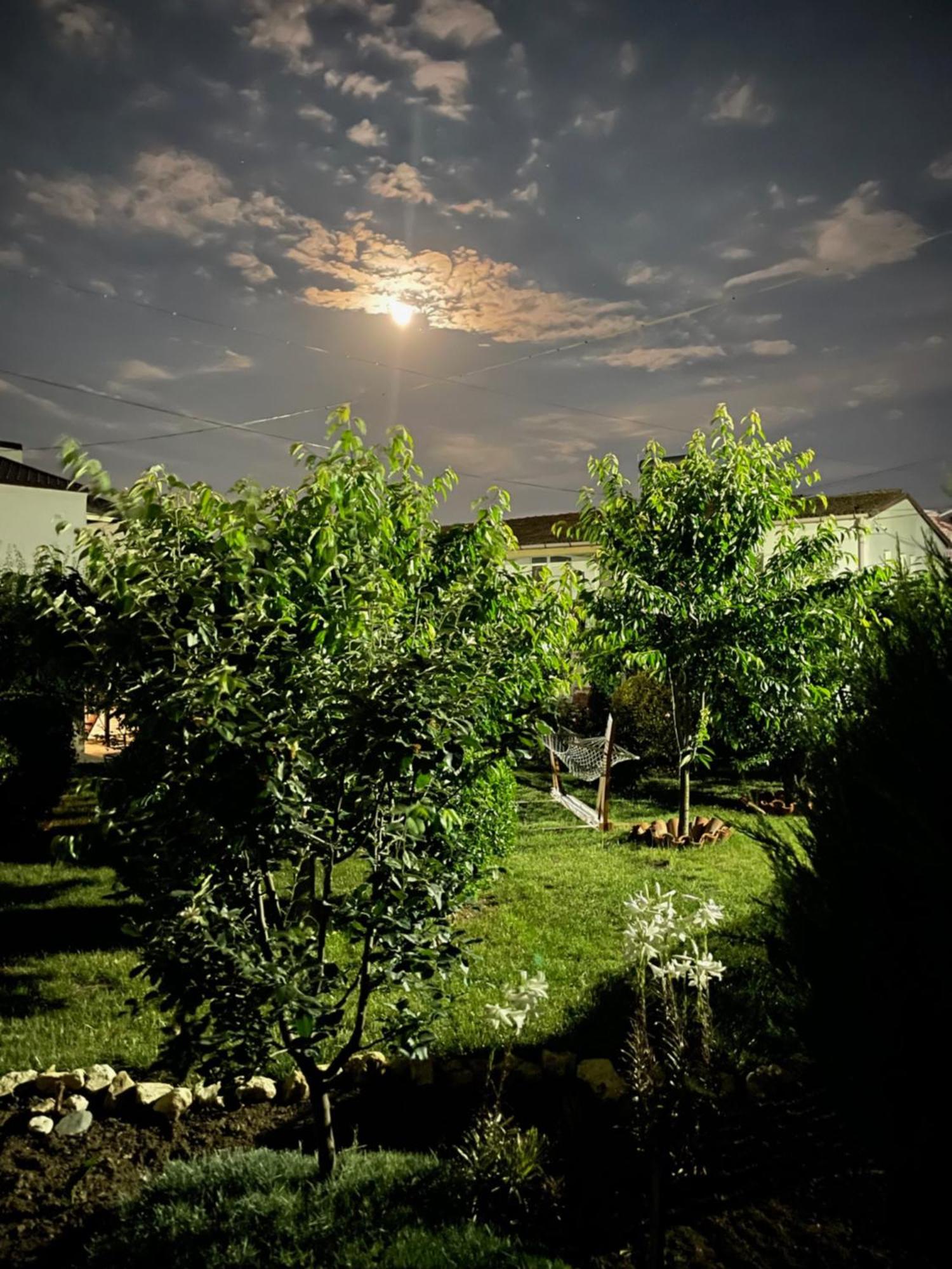 Hotel Complex Minerva à Costinesti Extérieur photo